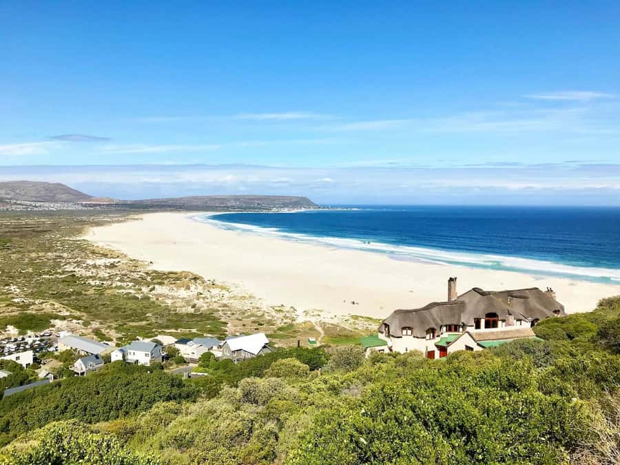 Cape Town: Cape Point and Penguin Colony Full Day Tour - Cape Point Nature Reserve: the day’s main event