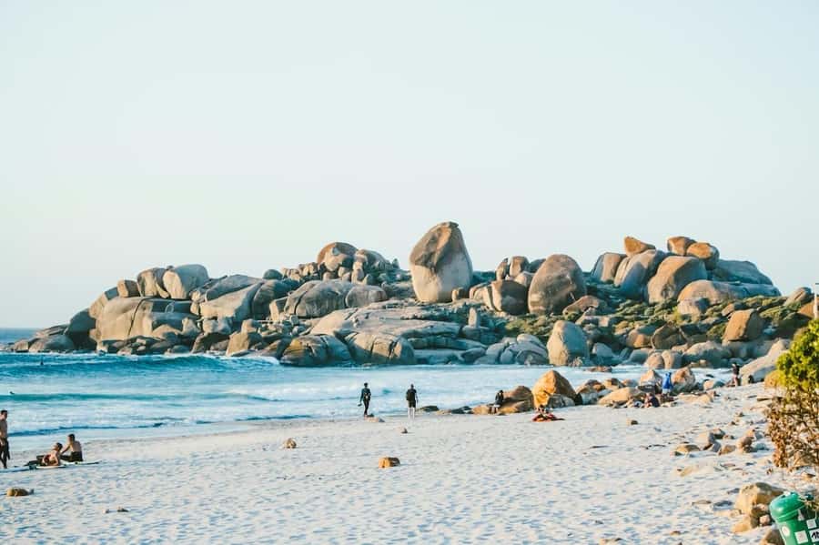 Cape Town: Cape Point and Penguin Colony Full Day Tour - Simon’s Town and Boulders penguins