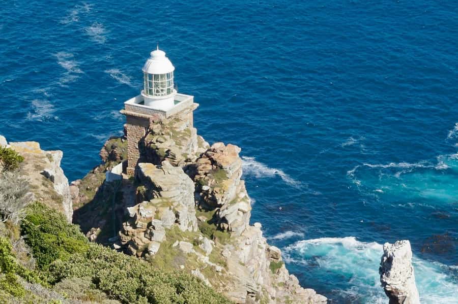 Cape Town: Cape Point and Penguin Colony Full Day Tour - Timing, lunch, and the cost of optional extras
