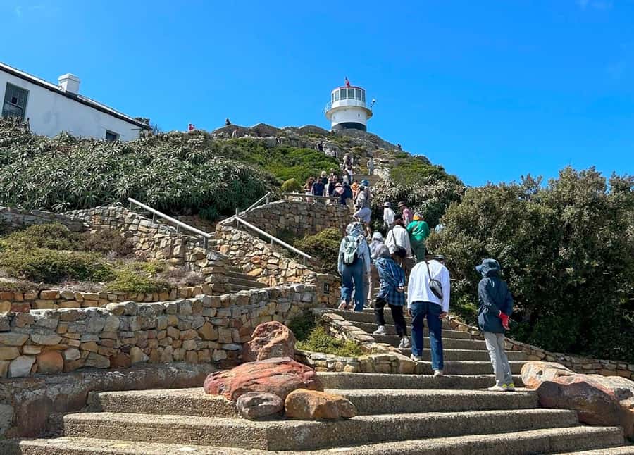 Cape Town: Full Day Cape of Good Hope with Penguins Tour - Is $127 a fair price?