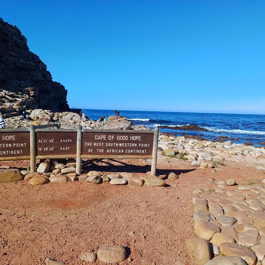 Cape Town: Full Day Cape of Good Hope with Penguins Tour - Sea Point and Camps Bay: a quick start with big views
