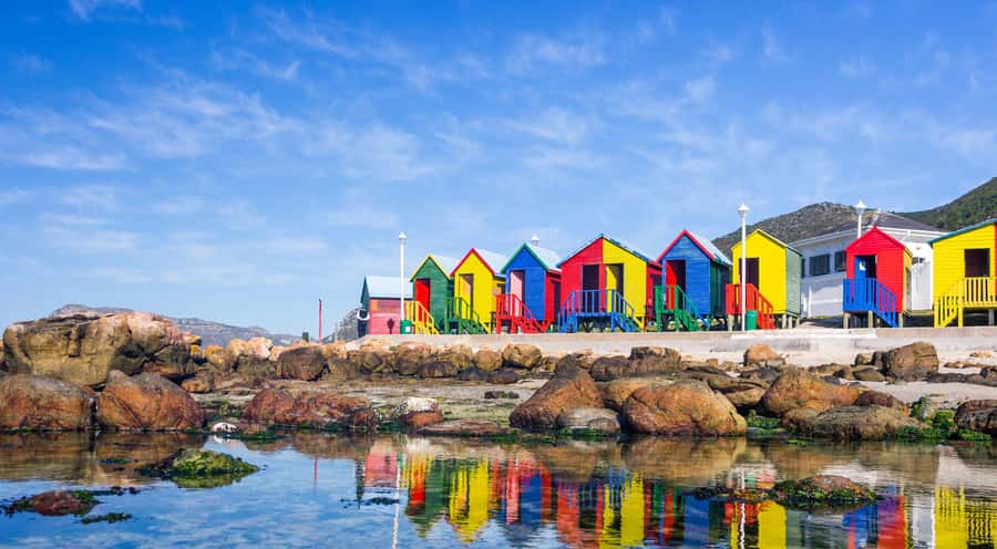 Cape Town: Full-Day Cape Peninsula and Penguins Tour - What the $35 price really gives you