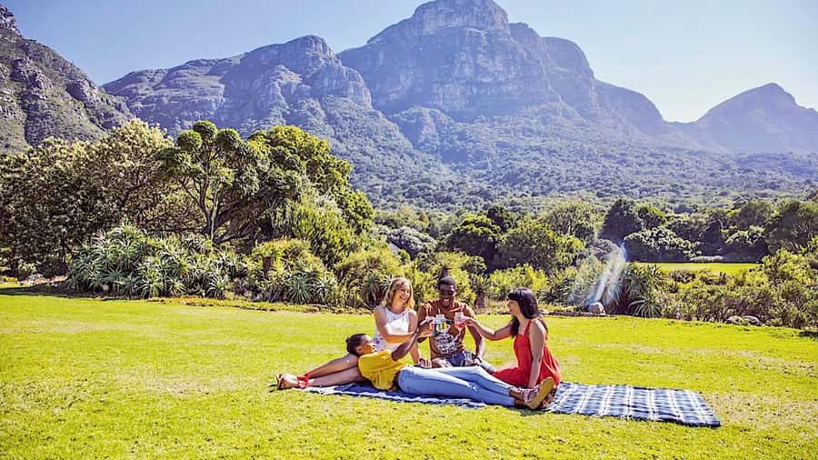 Cape Town: Full-Day Kirstenbosch, Bo-Kaap, and Penguins Tour - African penguins at Boulders Beach
