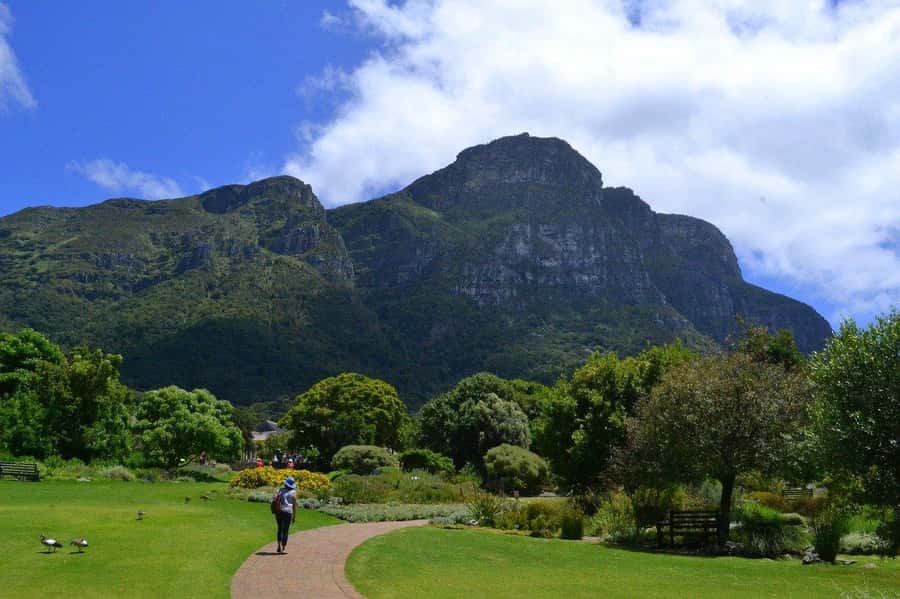 Cape Town: Full-Day Kirstenbosch, Bo-Kaap, and Penguins Tour - Cape Point, the Cape of Good Hope, and the lighthouse