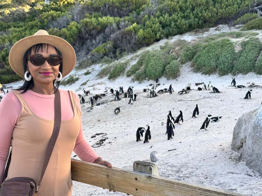 Cape Town: Half-Day Table Mountain and Penguin Group Tour - Key points to know before booking