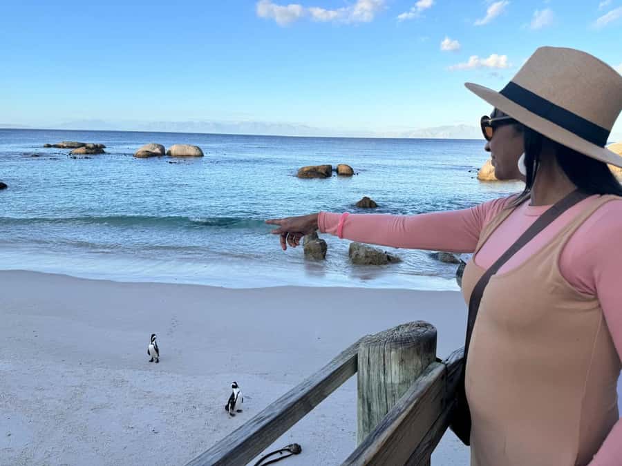 Cape Town: Half-Day Table Mountain and Penguin Group Tour - Why this six-hour route works well