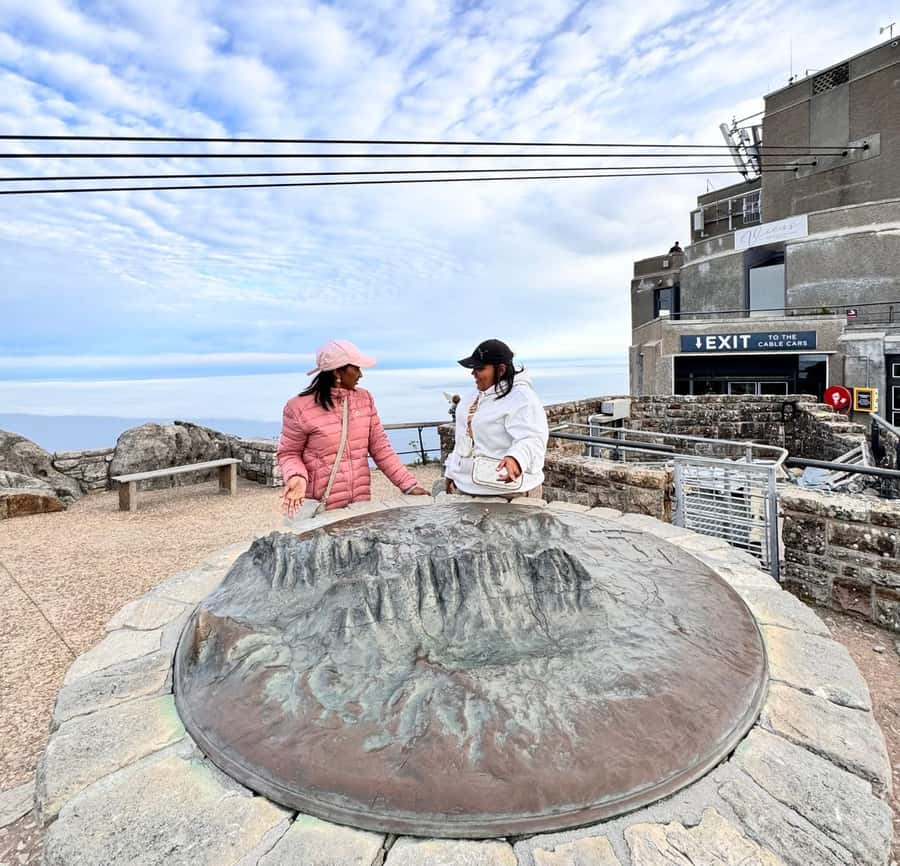 Cape Town: Half-Day Table Mountain and Penguin Group Tour - Reaching the top of Table Mountain