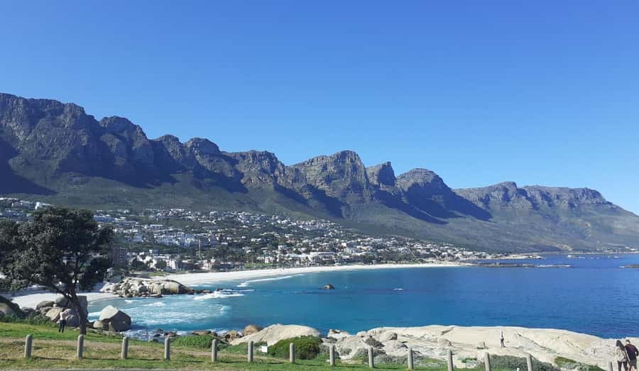 Cape Town: Halfday African Penguin tour - What This Five-Hour Route Does Well