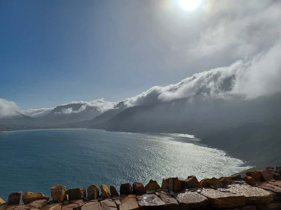 Cape Town: Halfday African Penguin tour - Who Should Book This Cape Town Tour?