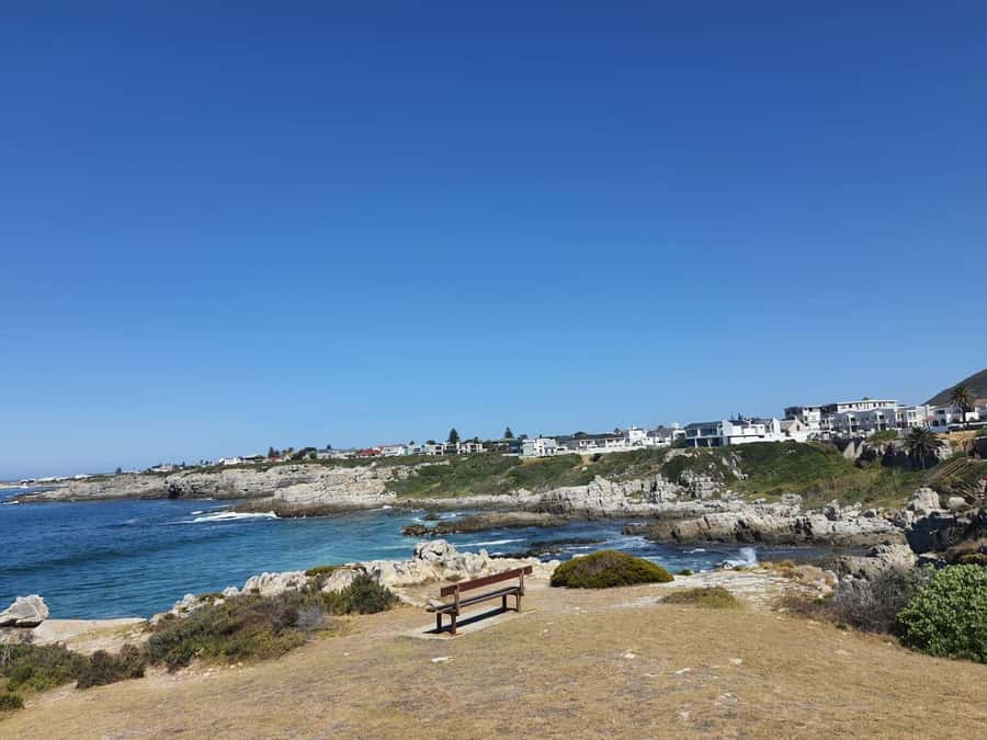 Cape Town: Hermanus Whale Watching Shared Boat & Penguins - Why this Cape Town day trip makes sense