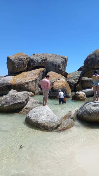 Table Mountain, Cape Point, & Penguins Group Tour