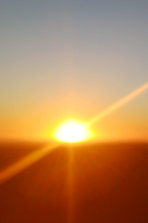 Cape Town: Penguins and Cape of Good Hope Sunset Tour - Guides, pickup, and the small-group feel