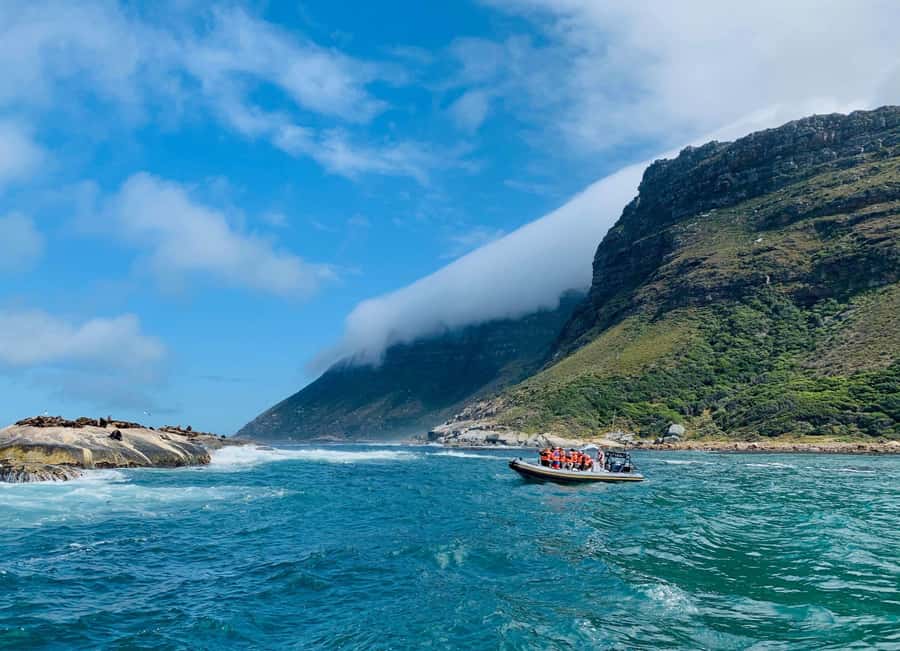 Cape Town: Penguins & Cape of Good Hope Day Tour with Pickup - Chapman’s Peak Drive: the road is part of the attraction