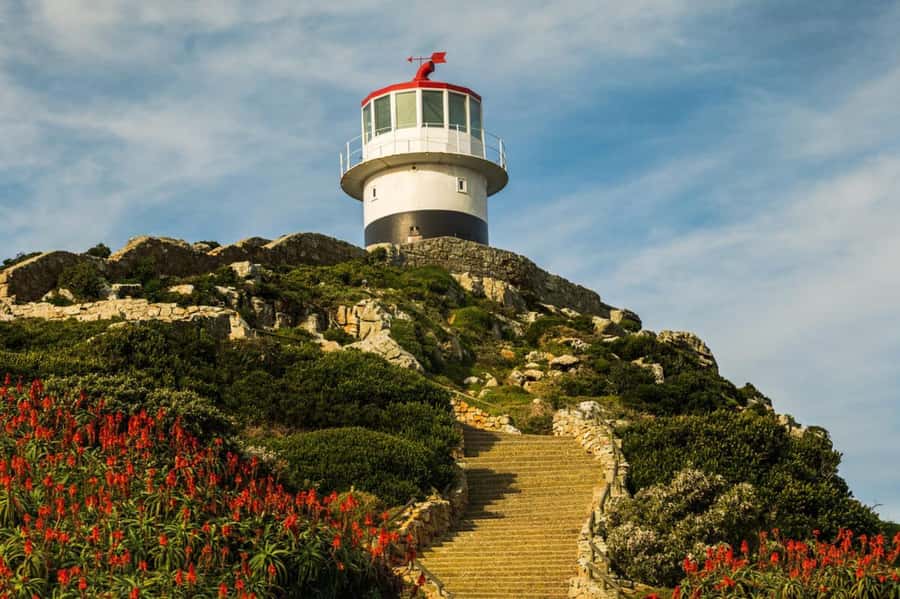 Cape Town: Penguins & Cape of Good Hope Day Tour with Pickup - Cape Point Nature Reserve and the New Lighthouse