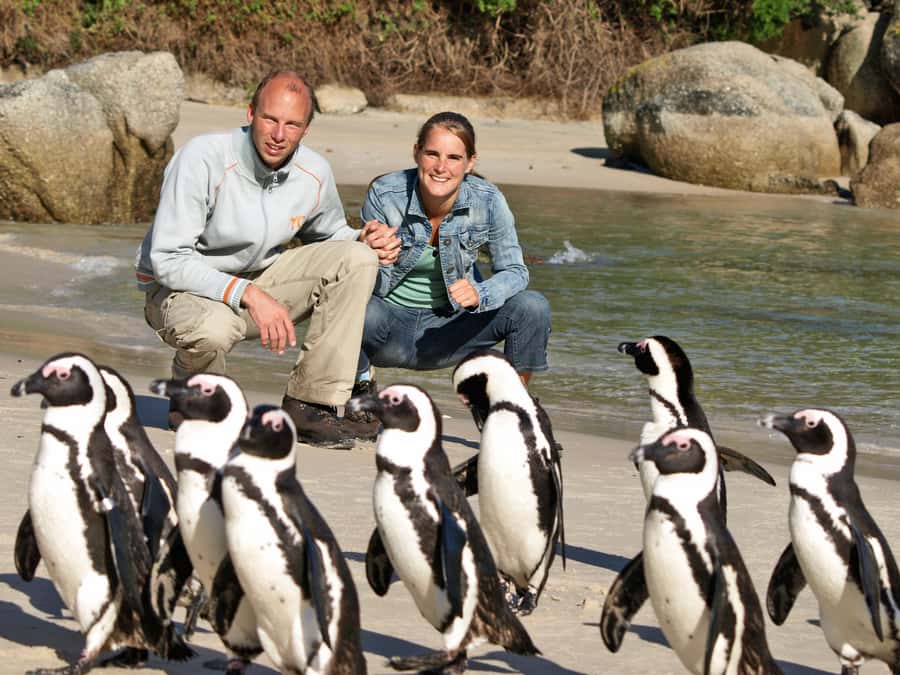 Cape Town: Penguins & Cape of Good Hope Half Day Shared Tour - Key points at a glance