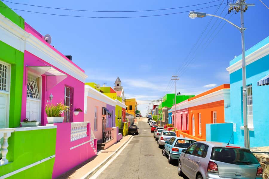 Cape Town: Penguins & Cape of Good Hope Half Day Shared Tour - Who should book this tour?