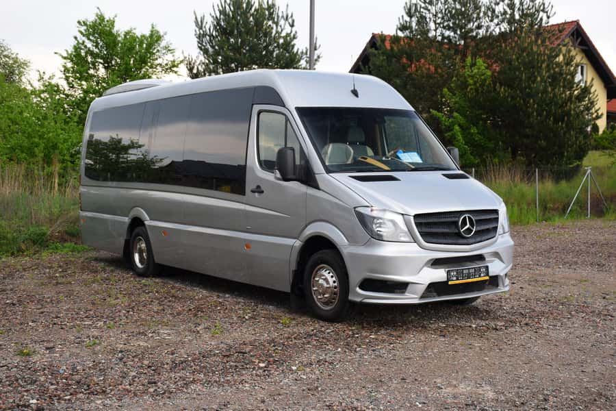 Cape Town: Penguins & Cape of Good Hope Half Day Shared Tour - The False Bay coast from Muizenberg to Simon’s Town