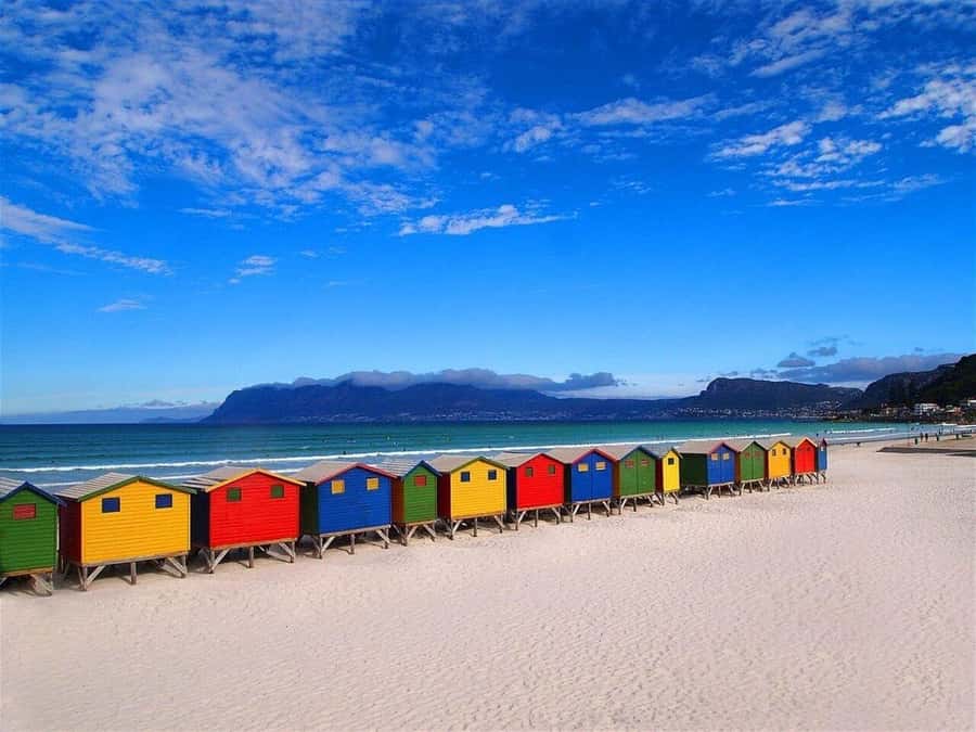 Cape Town: Penguins & Cape of Good Hope Half-Day Tour - Muizenberg and St. James Beach: quick color before the coast