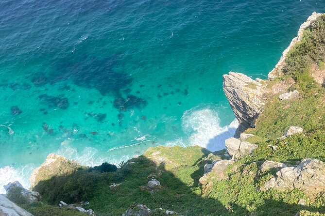 Cape Town: Peninsula, Cape of Good Hope and Penguins Tour - Why this Cape Peninsula day works