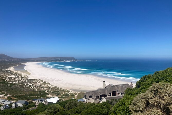 Cape Town: Peninsula, Cape of Good Hope and Penguins Tour - Boulders Beach: African penguins at close range