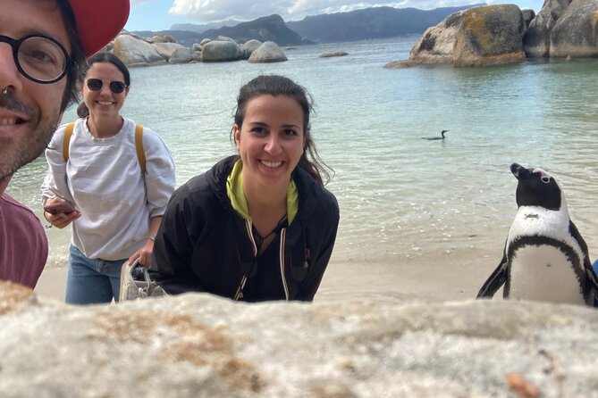Cape Town: Peninsula, Cape of Good Hope and Penguins Tour - What is included, and what you still pay