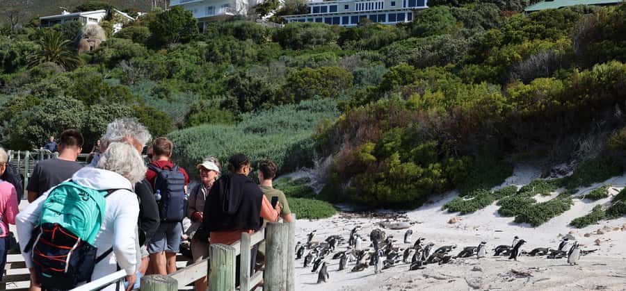 Cape Town: Peninsula, Penguins & Cape of Good Hope Day Tour - Cape of Good Hope: Wildlife and Open Coast