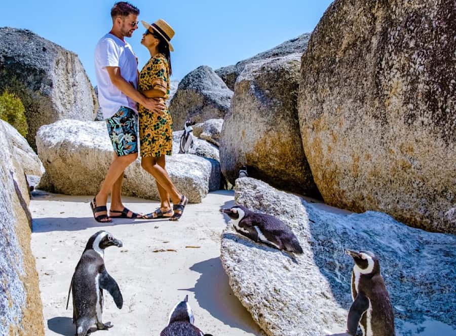 Cape Town Private Tour to Cape Of Good Hope and the Penguins - Starting with Bo-Kaap and Cape Town’s central sights