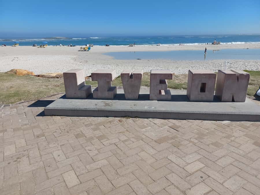 Cape Town: Table Mountain and Penguins Private Guided Tour - Noordhoek adds a slower coffee pause
