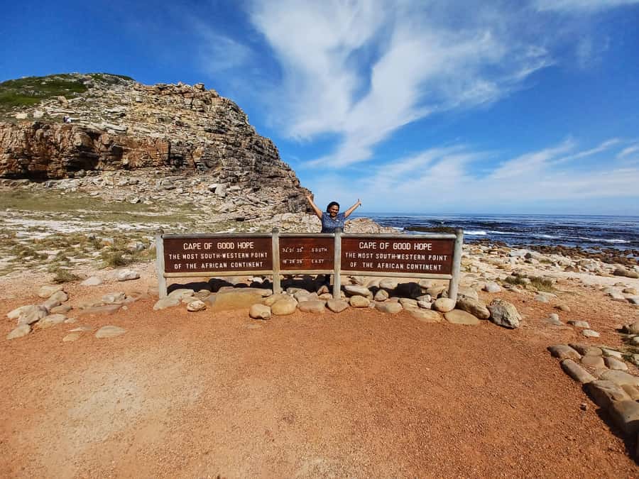 Cape Town: Table Mountain and Penguins Private Guided Tour - Boulders Beach brings you close to African penguins