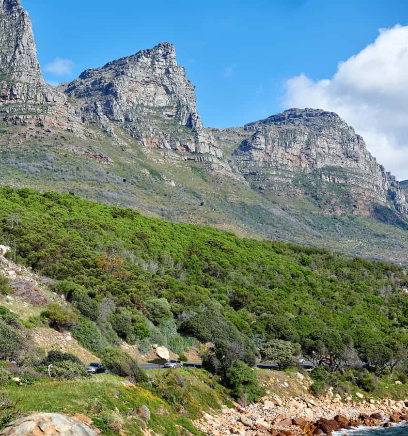 Cape Town: Table Mountain, Cape of Goodhope & Penguins Tour - Key points to know before booking