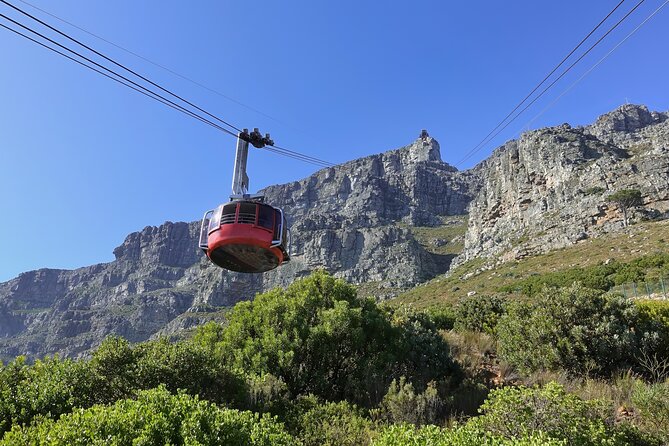 Cape Town Table Mountain Cape Point Penguins Full-Day Private Tour - Why this private Cape Peninsula tour works