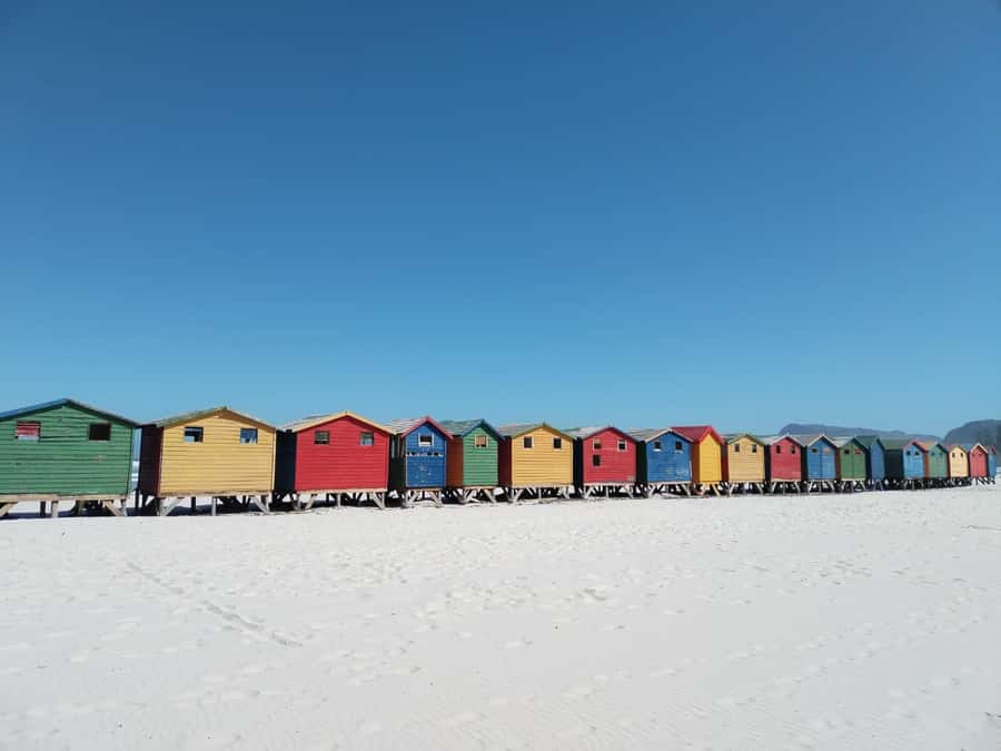 Cape Town: Table Mountain, Cape Point, & Penguins Group Tour - Noordhoek and the ostrich stop