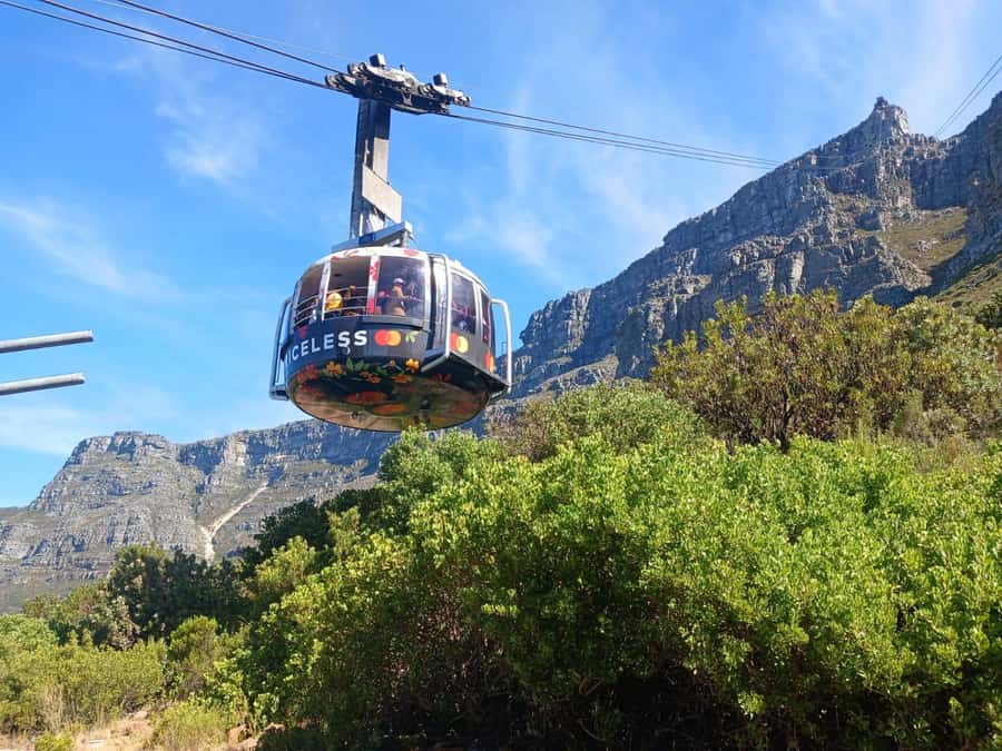 Cape Town: Table Mountain, Cape Point, & Penguins Group Tour - Boulders Beach and the African Penguins