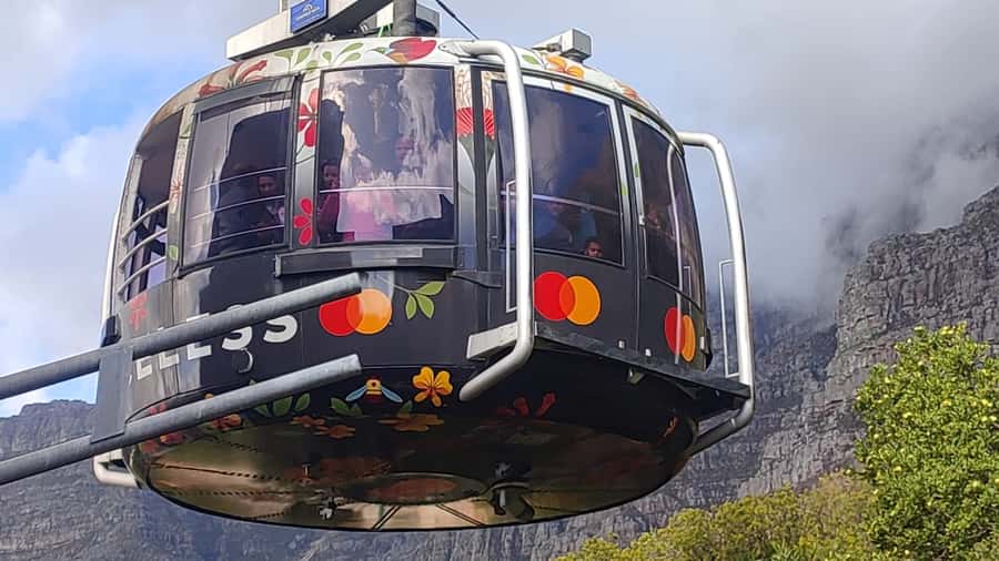 Cape Town: Table Mountain,Cape Point & Penguins Private Tour - Is the $125 price good value?
