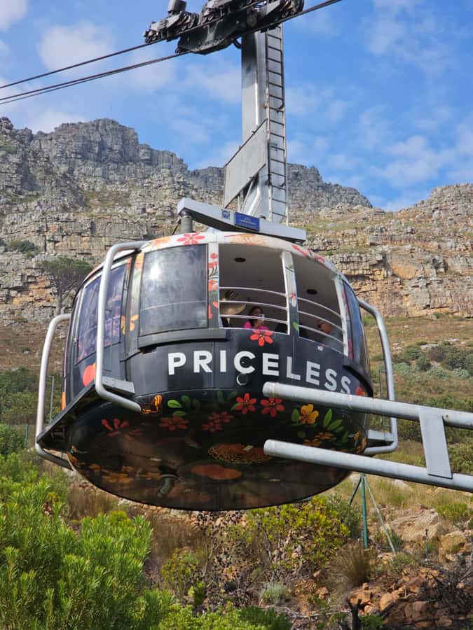 Cape Town Table Mountain Penguins & Cape Point All-inclusive - Table Mountain: the day’s first major payoff