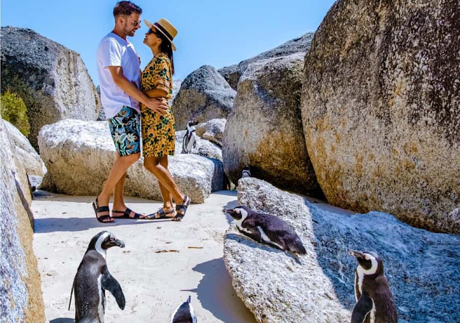 Cape Town: Table Mountain, Penguins & Cape Point Shared Tour - Chapman’s Peak is one of the best road sections