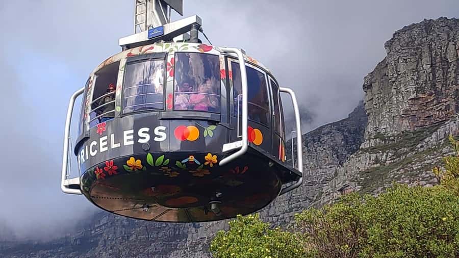Cape Town: Table MT, Cape Point & Penguins Instagram Tour - Table Mountain: Start With the City’s Great View