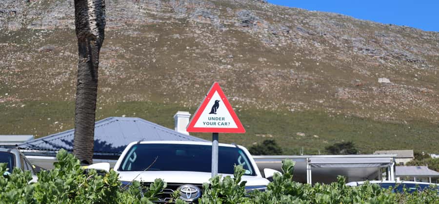 Cape Town: Tour Cape Point & Boulders Beach Penguin Day Trip - Cape Point offers a funicular or a short walk