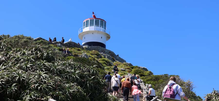 Cape Town: Tour Cape Point & Boulders Beach Penguin Day Trip - Bo-Kaap and Maidens Cove set the tone