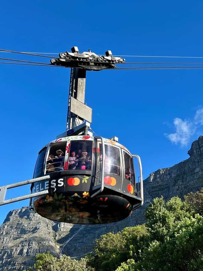 Cape Town Tour: Table Mountain, Penguins & Cape Point+Pickup - Why this full-day route works