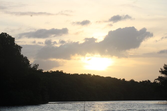 Caroni Bird Sanctuary Tour - Who will enjoy this four-hour experience most
