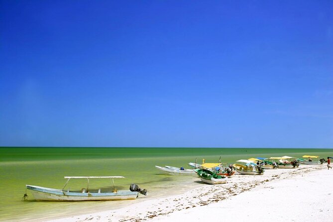 Celestun Nature Reserve Flamingo Tour-Boat to Flamingo Paradise from Merida - Key points at a glance