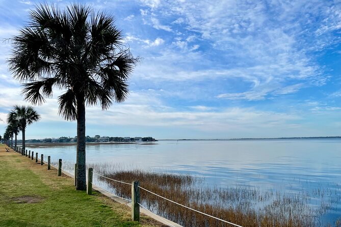 Charleston Bird Watching Tour - Key points to know before booking