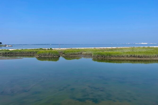 Charleston Bird Watching Tour - The Ravenel Bridge and Charleston Harbor views