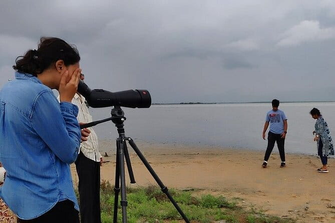 Chennai, Birding with Spotting Scope & Photography 2-3 hours - Starting at Pallikaranai Marshland Park