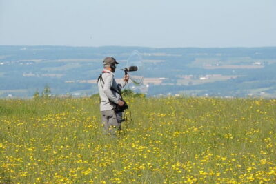 Chennai, Birding with Spotting Scope & Photography 2-3 hours