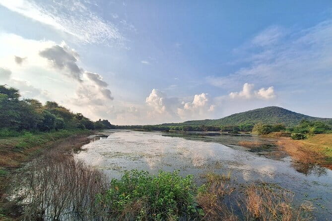 Chennai, Birding with Spotting Scope & Photography 2-3 hours - Is $67.94 good value?