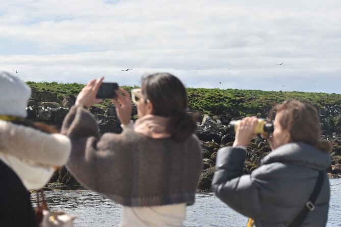 Classic Puffin Watching Cruise from Downtown Reykjavík - From Ægisgarður to the open water