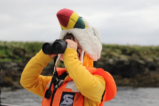 Classic Puffin Watching Cruise from Downtown Reykjavík - Is $60 a fair price for one hour?