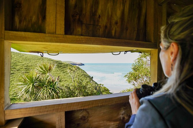 Clearwater Private Penguin & Wildlife Tour from Port Otago (5hrs) - Walking through the reserve to a private beach